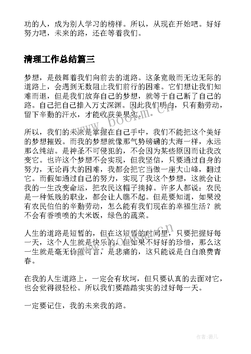 最新清理工作总结(通用8篇)