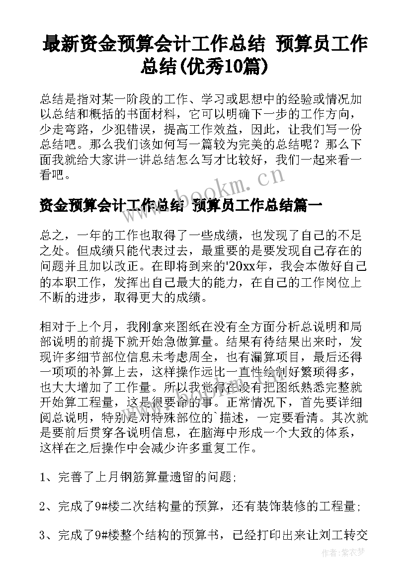 最新资金预算会计工作总结 预算员工作总结(优秀10篇)