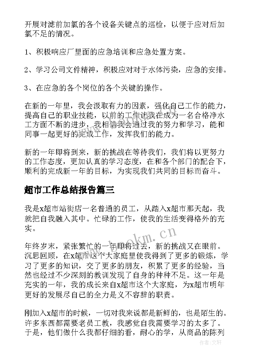 超市工作总结报告(精选5篇)