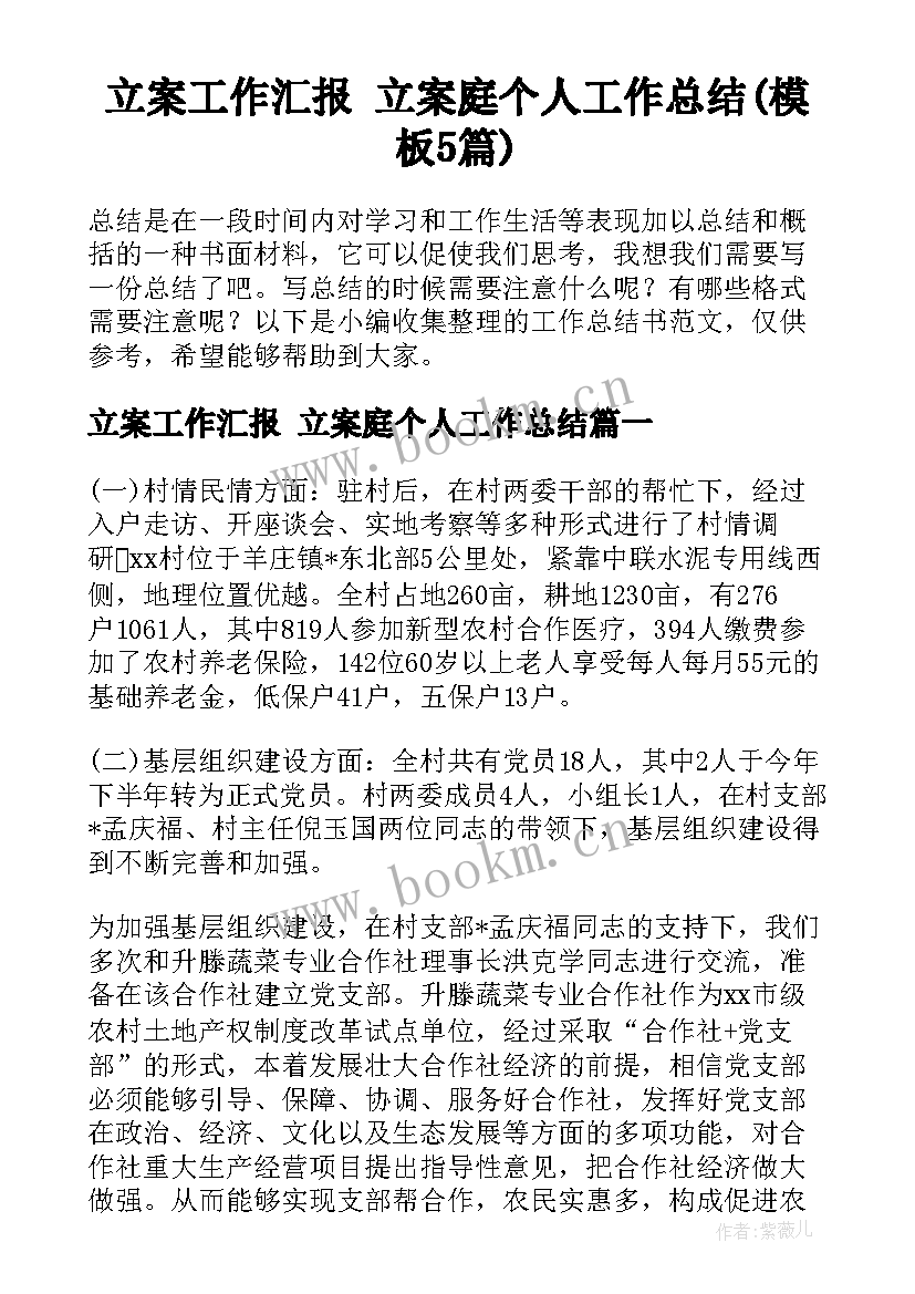 立案工作汇报 立案庭个人工作总结(模板5篇)