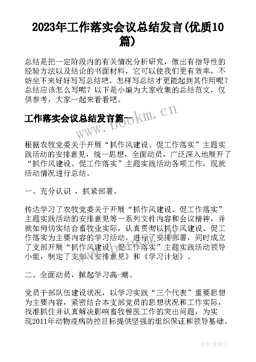 2023年工作落实会议总结发言(优质10篇)