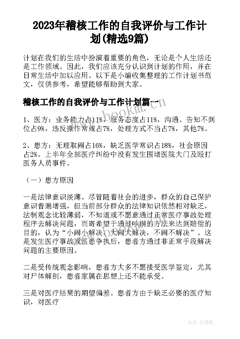 2023年稽核工作的自我评价与工作计划(精选9篇)