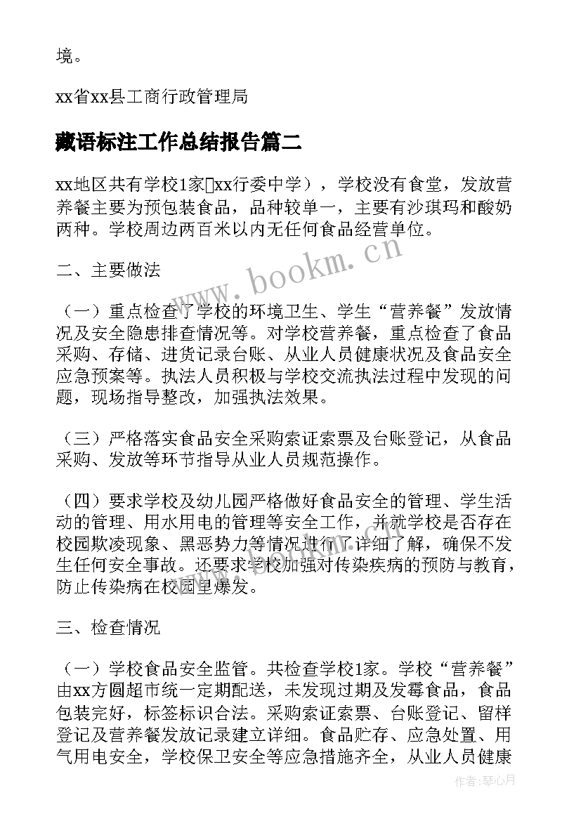 藏语标注工作总结报告(实用5篇)