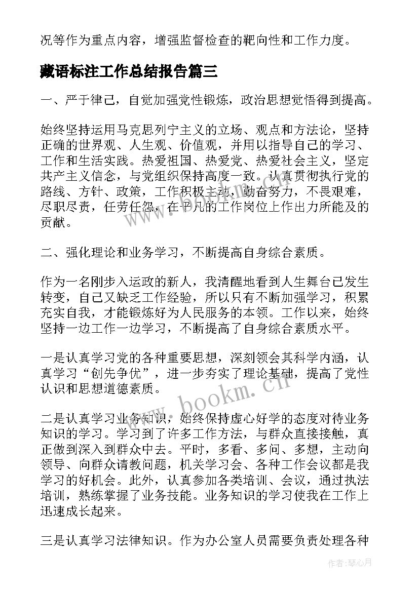 藏语标注工作总结报告(实用5篇)