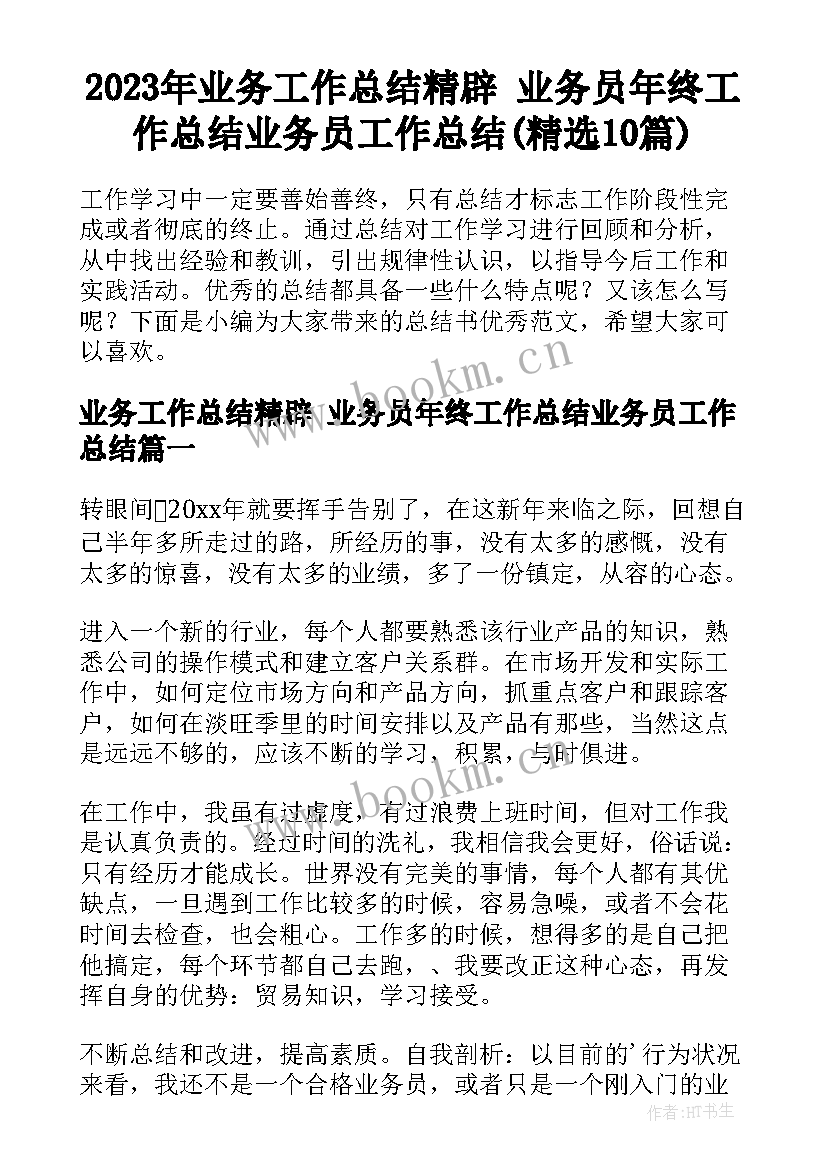 2023年业务工作总结精辟 业务员年终工作总结业务员工作总结(精选10篇)