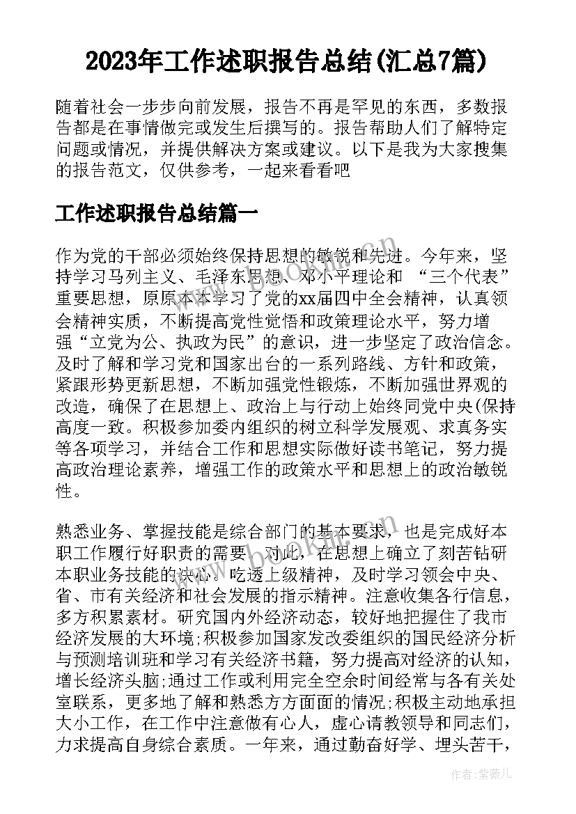 2023年工作述职报告总结(汇总7篇)