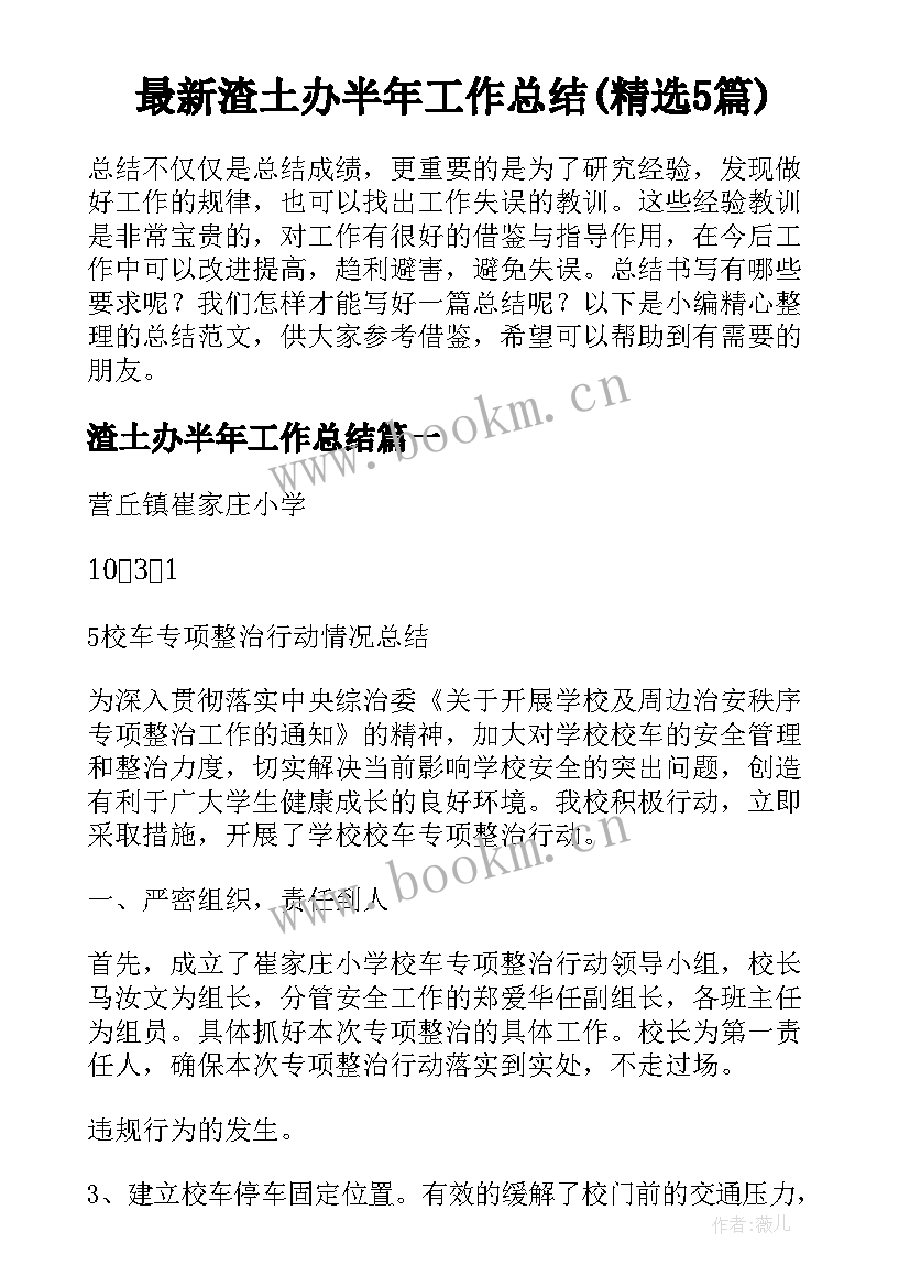 最新渣土办半年工作总结(精选5篇)