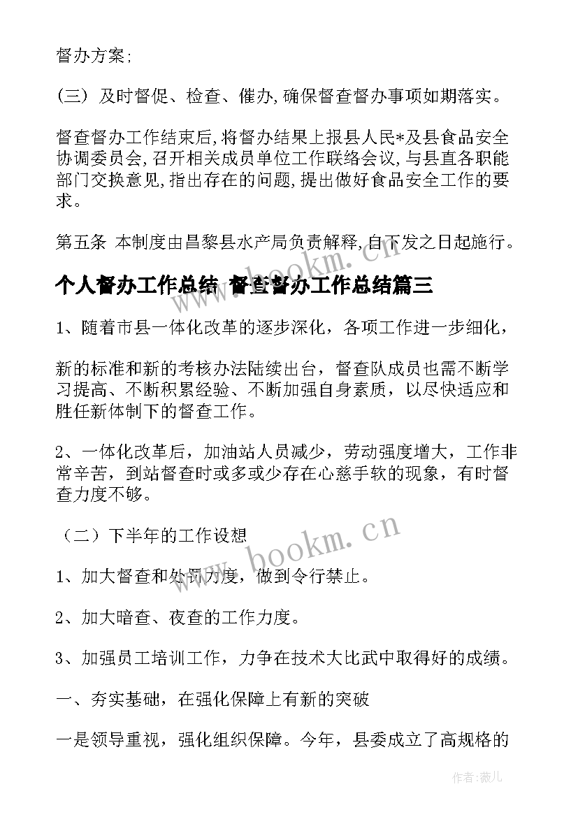 2023年个人督办工作总结 督查督办工作总结(优秀10篇)