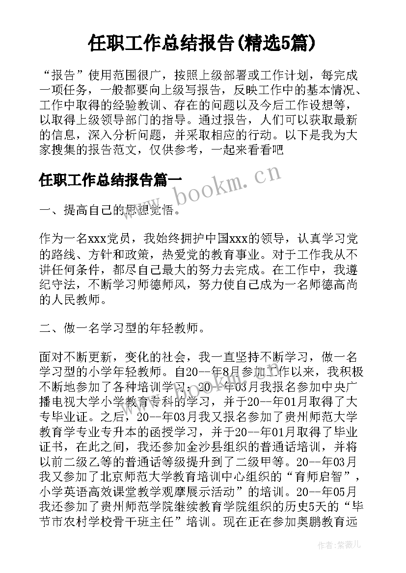 任职工作总结报告(精选5篇)