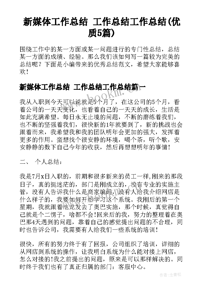 新媒体工作总结 工作总结工作总结(优质5篇)