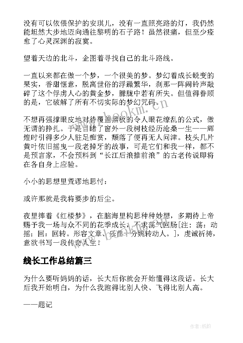 2023年线长工作总结(实用7篇)