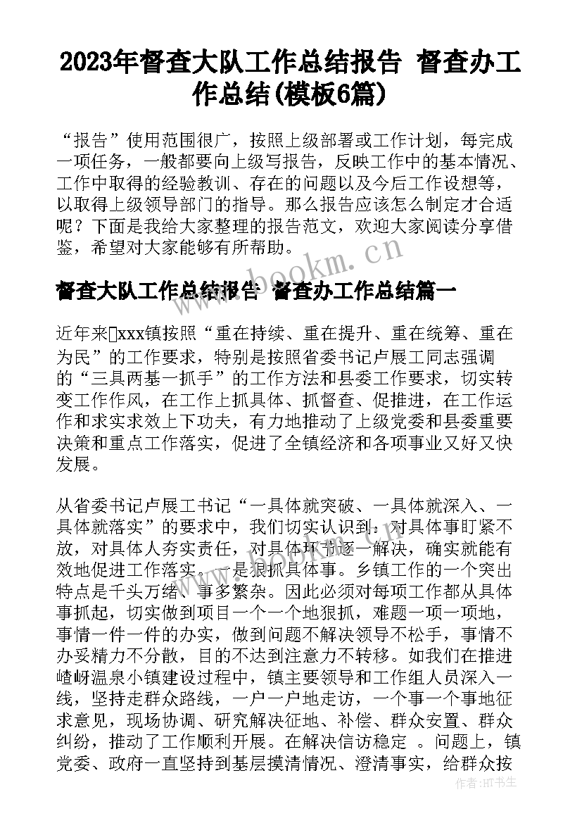 2023年督查大队工作总结报告 督查办工作总结(模板6篇)