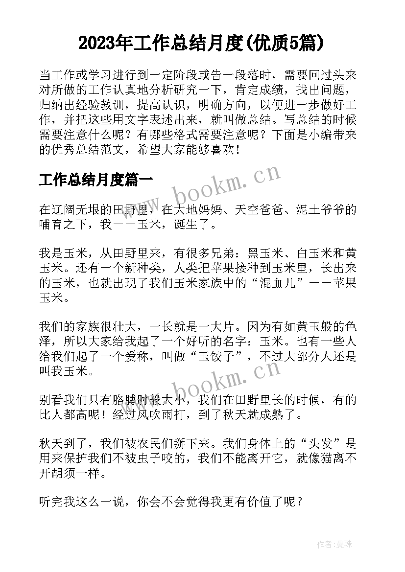 2023年工作总结月度(优质5篇)