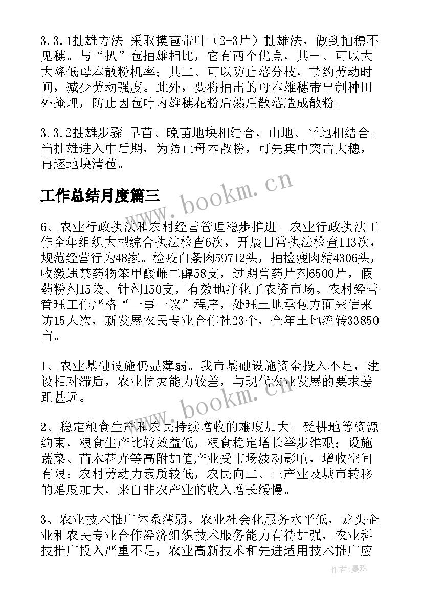 2023年工作总结月度(优质5篇)