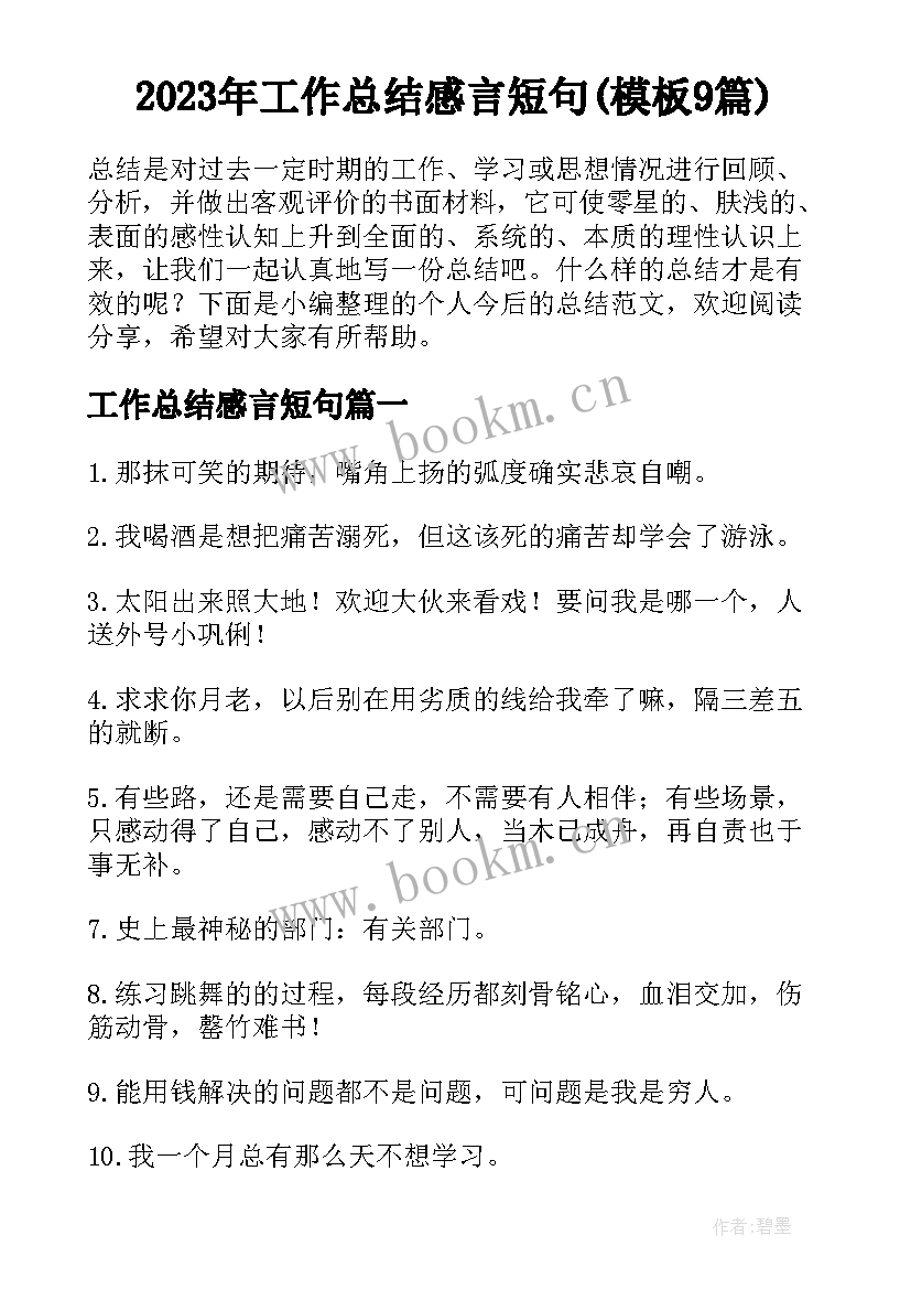 2023年工作总结感言短句(模板9篇)