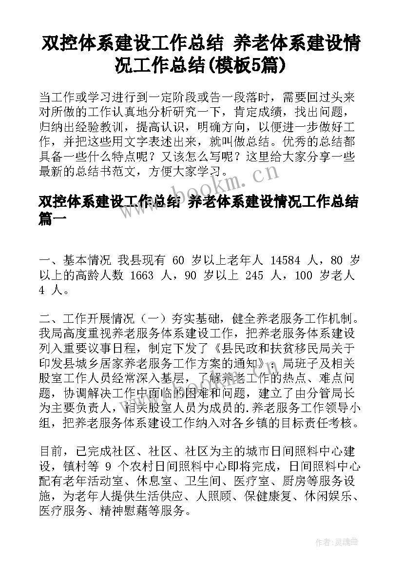 双控体系建设工作总结 养老体系建设情况工作总结(模板5篇)