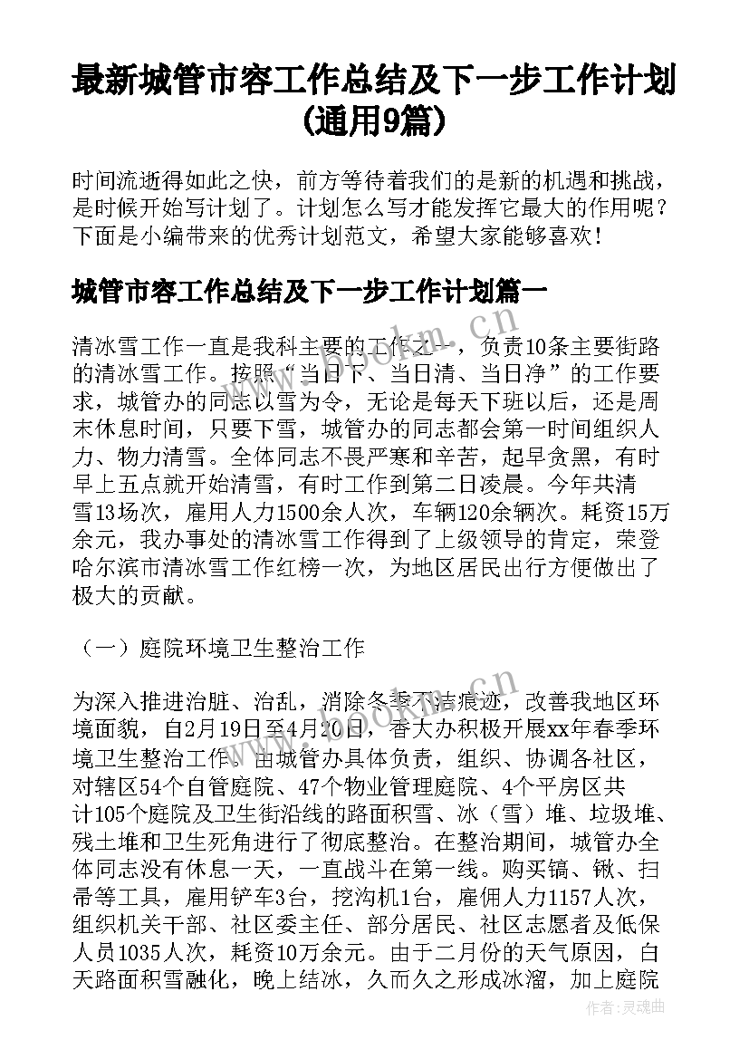 最新城管市容工作总结及下一步工作计划(通用9篇)