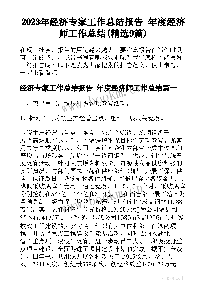 2023年经济专家工作总结报告 年度经济师工作总结(精选9篇)