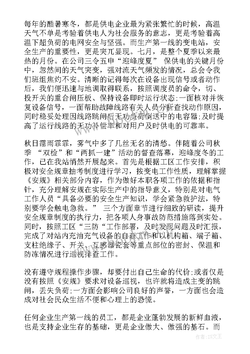 最新电站安保工作总结(通用6篇)