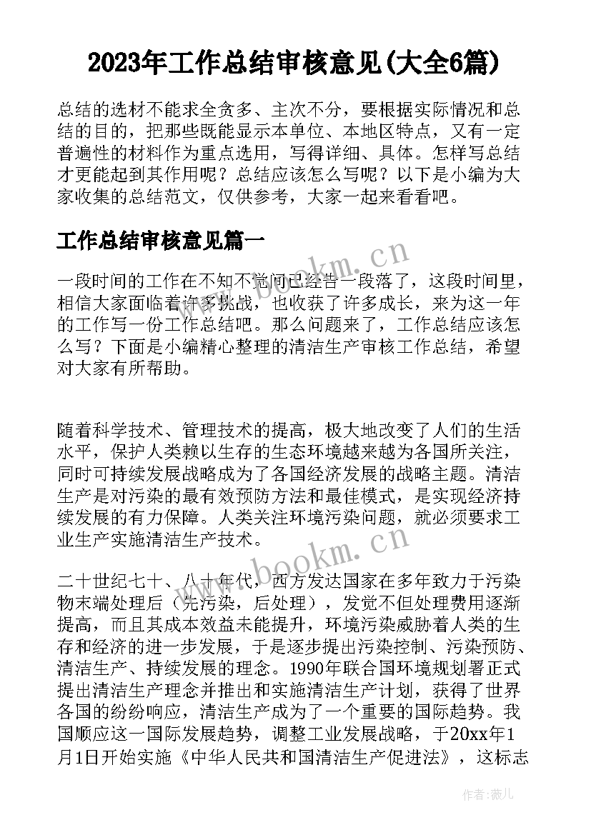 2023年工作总结审核意见(大全6篇)