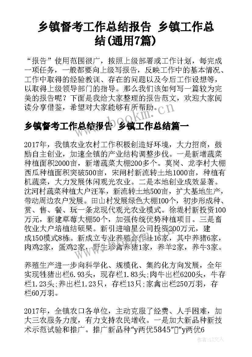 乡镇督考工作总结报告 乡镇工作总结(通用7篇)