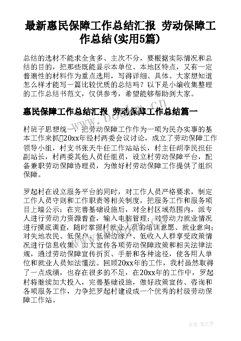 最新惠民保障工作总结汇报 劳动保障工作总结(实用5篇)