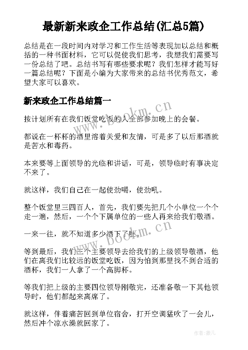 最新新来政企工作总结(汇总5篇)