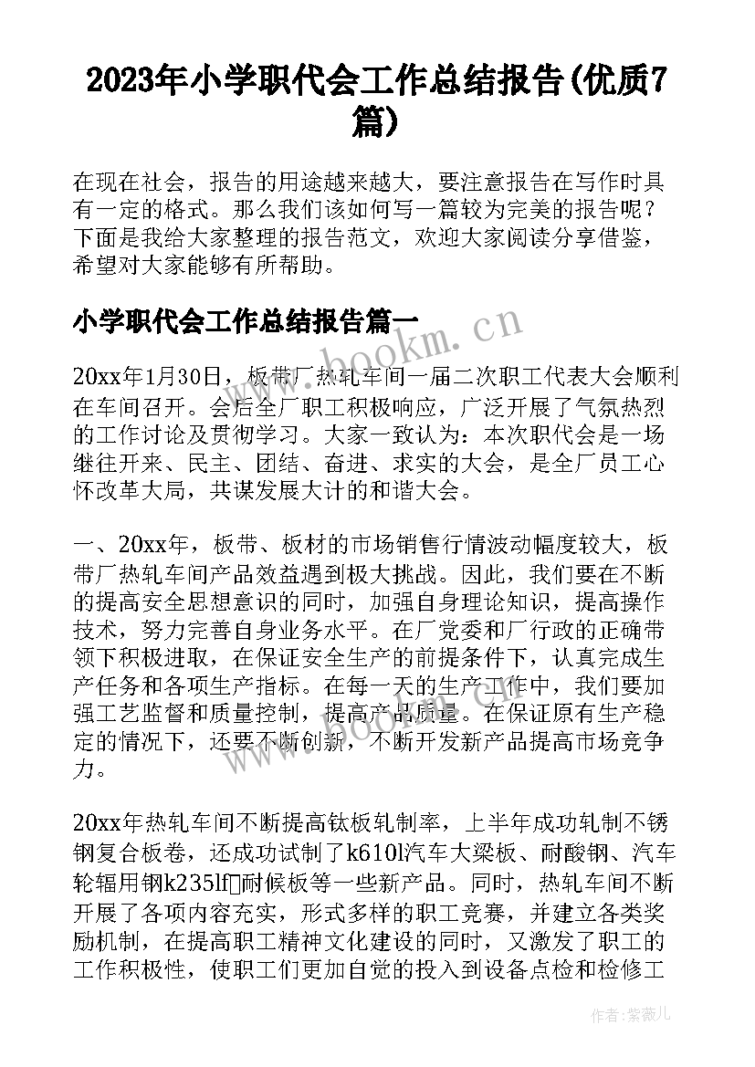 2023年小学职代会工作总结报告(优质7篇)