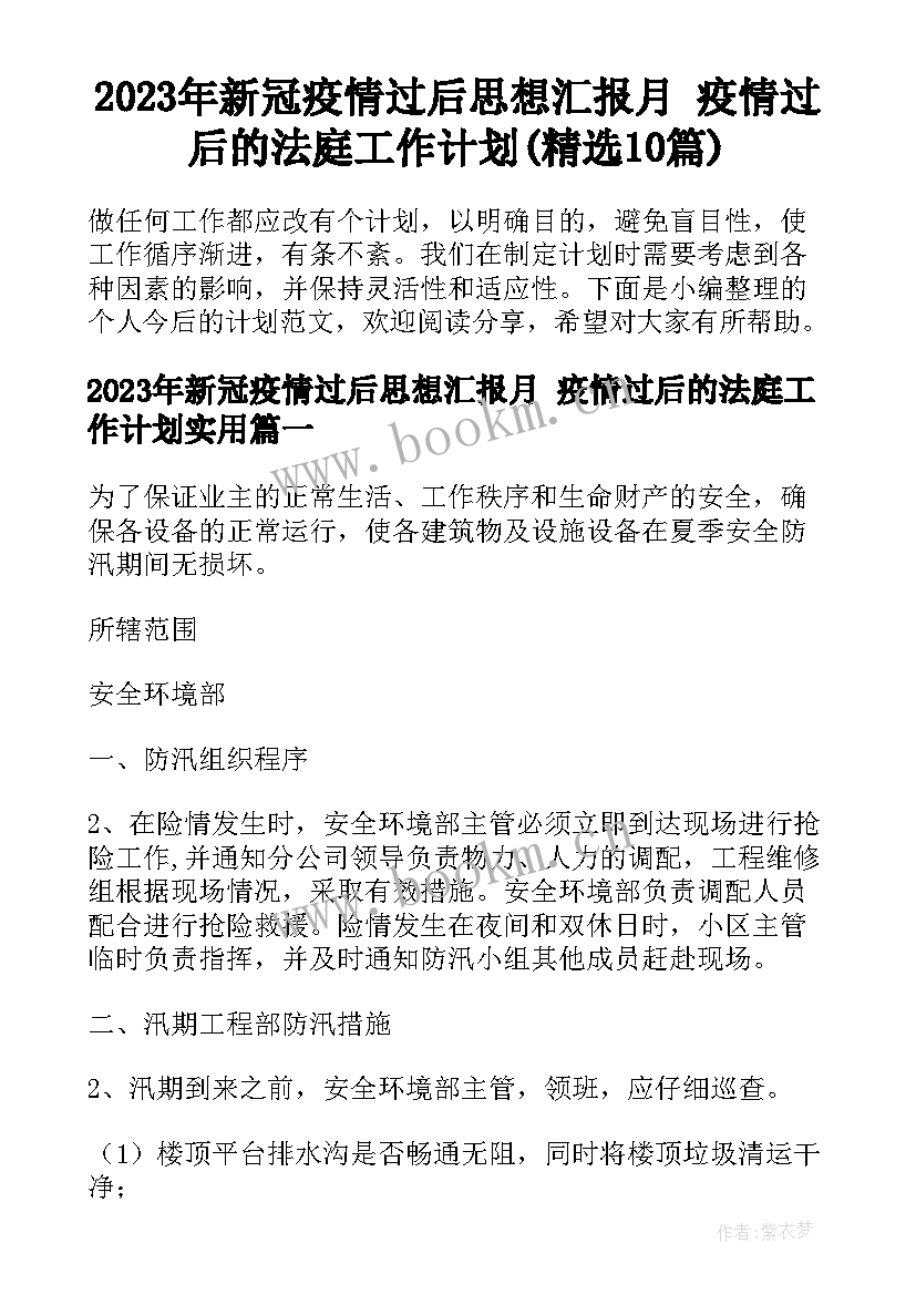 2023年新冠疫情过后思想汇报月 疫情过后的法庭工作计划(精选10篇)