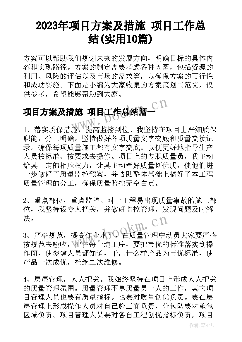 2023年项目方案及措施 项目工作总结(实用10篇)