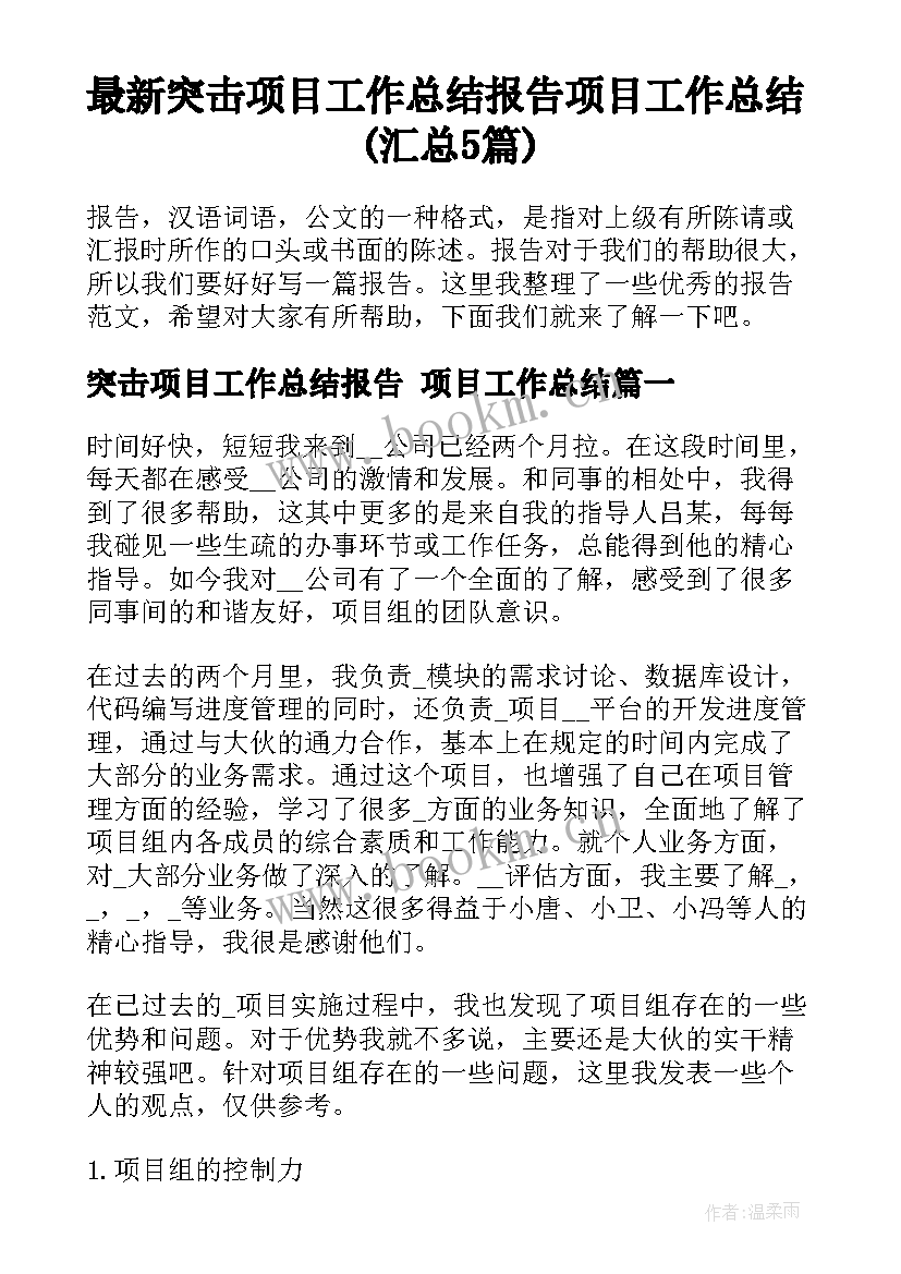 最新突击项目工作总结报告 项目工作总结(汇总5篇)