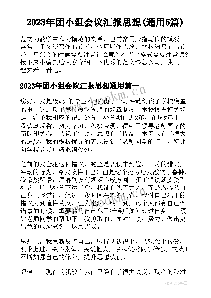 2023年团小组会议汇报思想(通用5篇)