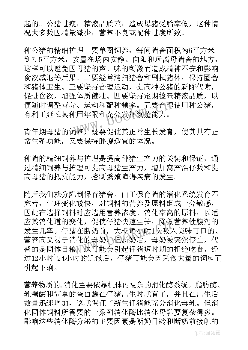 2023年猪场工作总结报告 猪场技术员工作总结(汇总5篇)