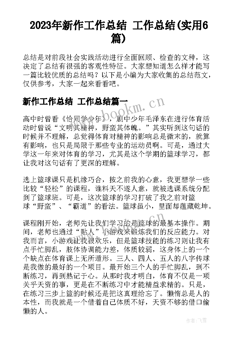 2023年新作工作总结 工作总结(实用6篇)