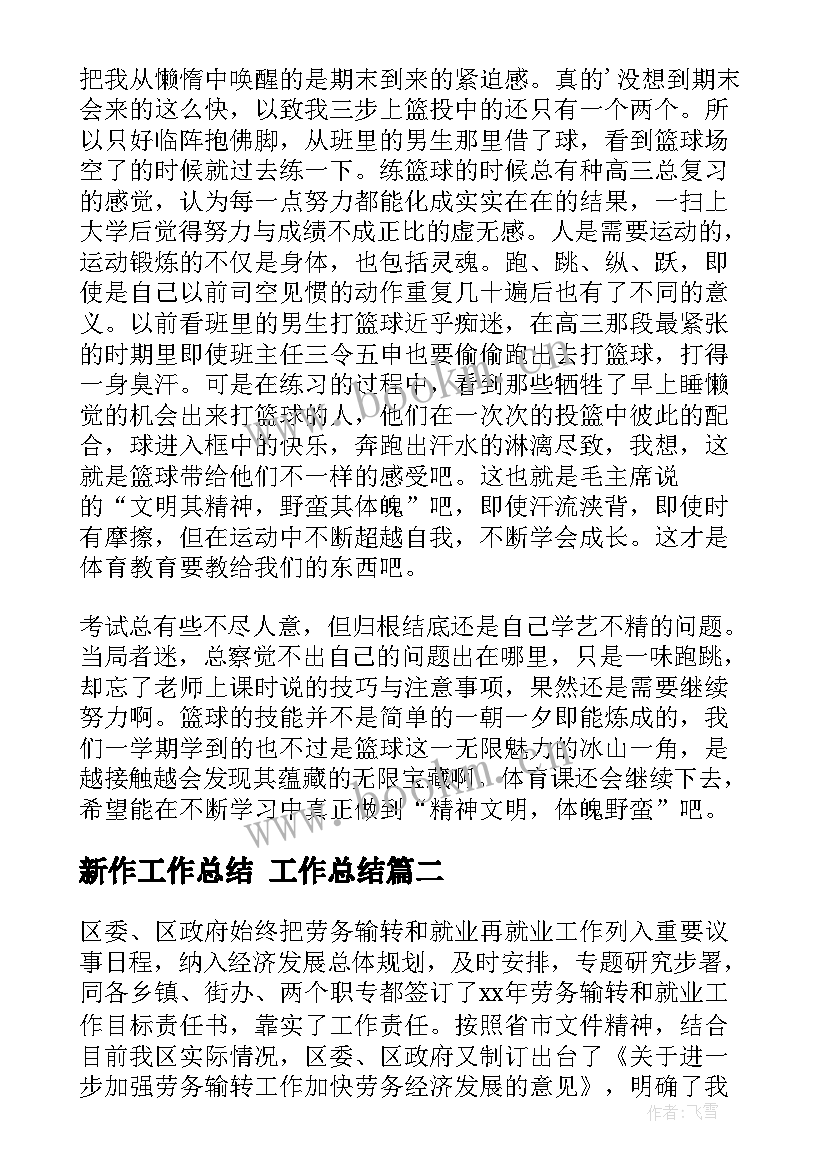 2023年新作工作总结 工作总结(实用6篇)