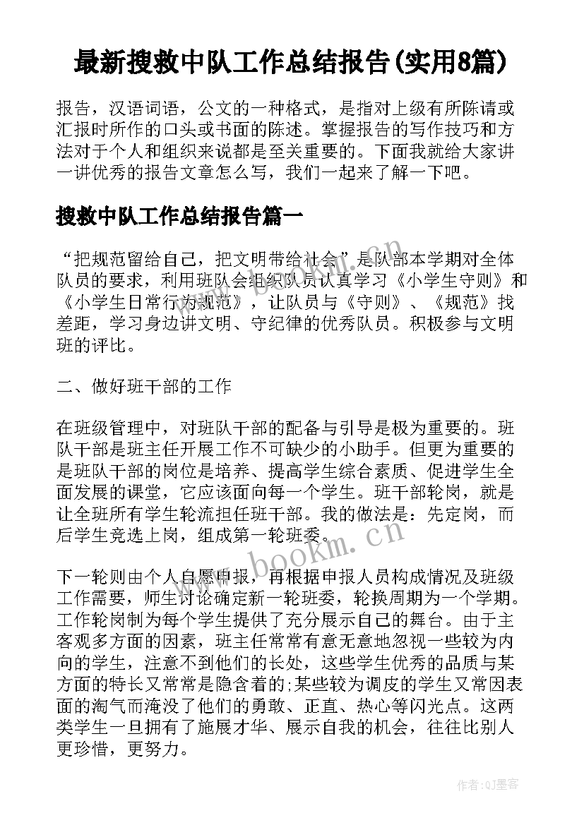 最新搜救中队工作总结报告(实用8篇)