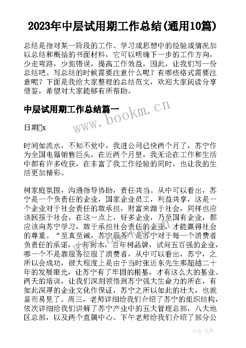 2023年中层试用期工作总结(通用10篇)