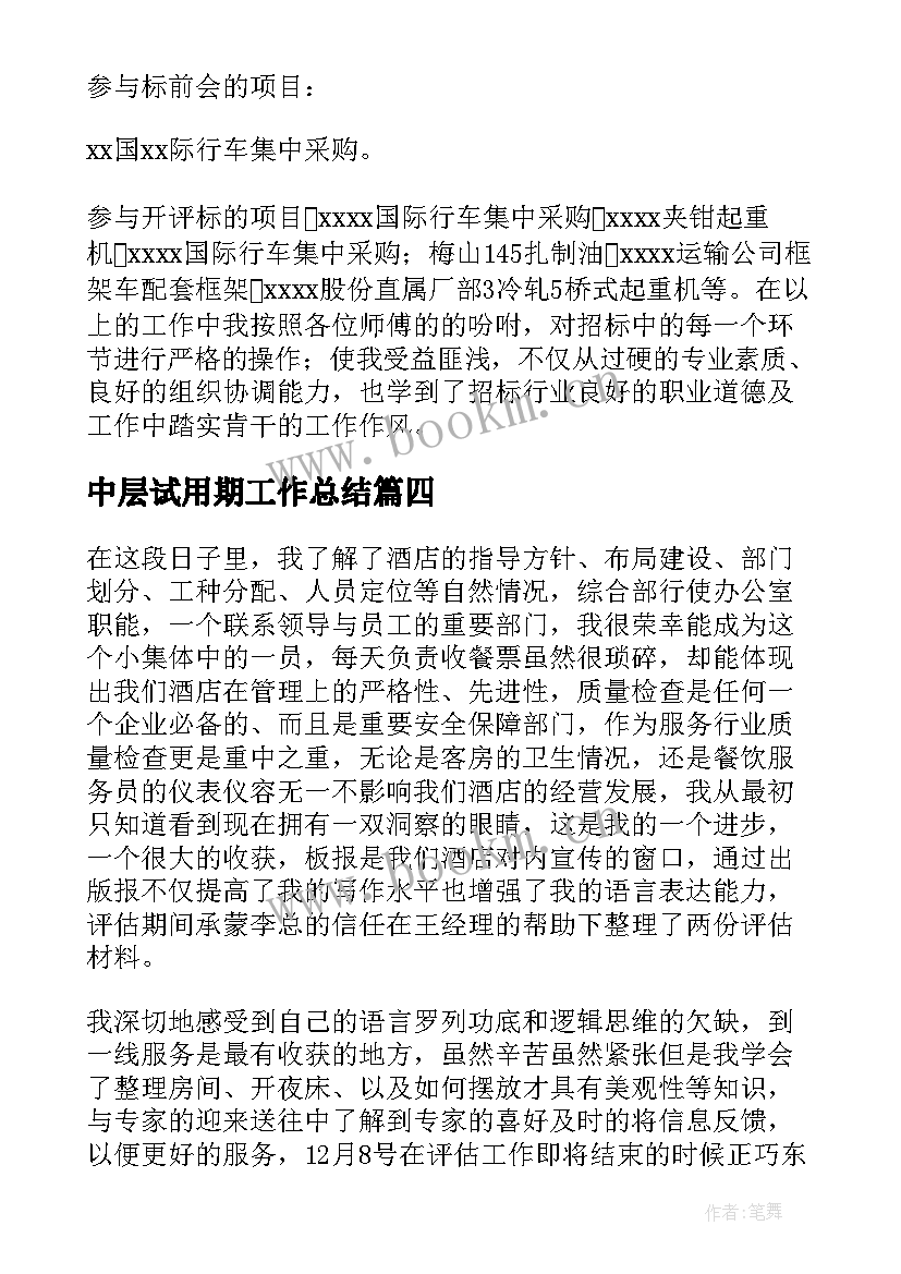 2023年中层试用期工作总结(通用10篇)