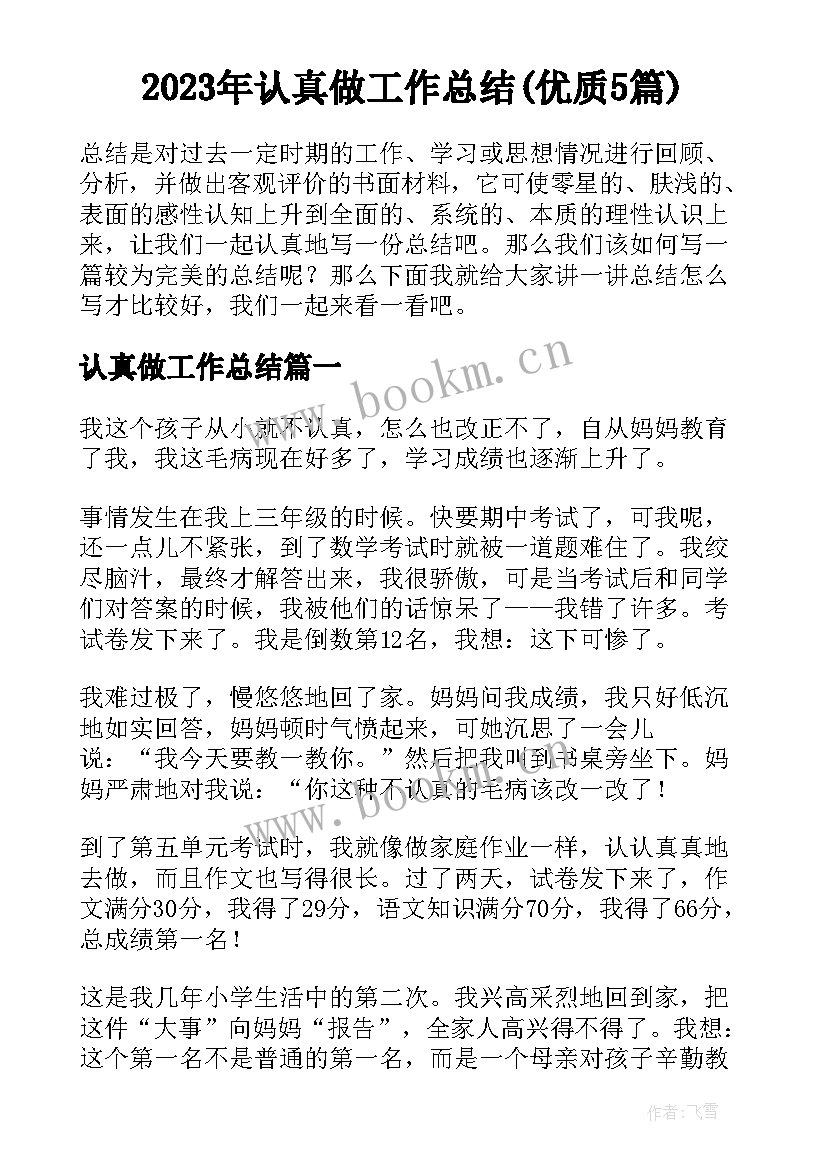 2023年认真做工作总结(优质5篇)