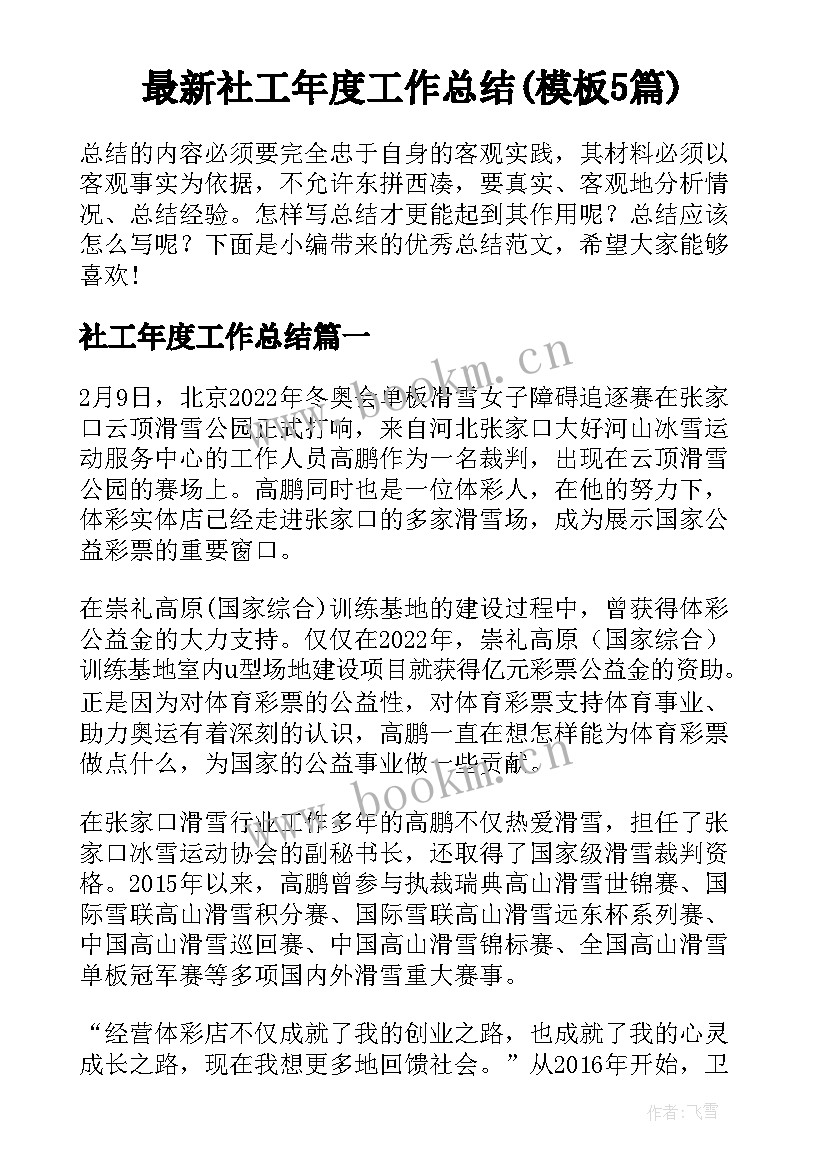 最新社工年度工作总结(模板5篇)