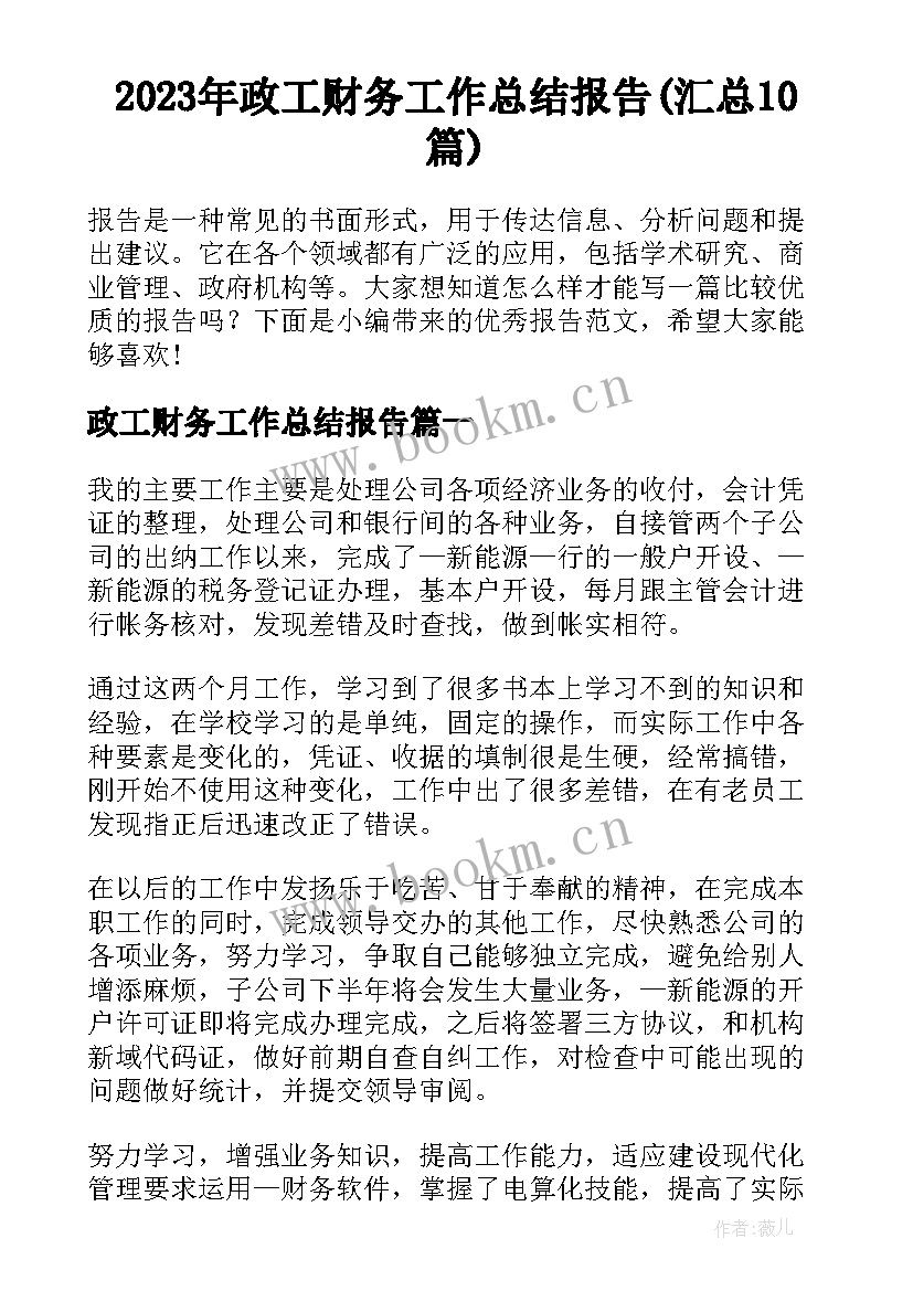 2023年政工财务工作总结报告(汇总10篇)