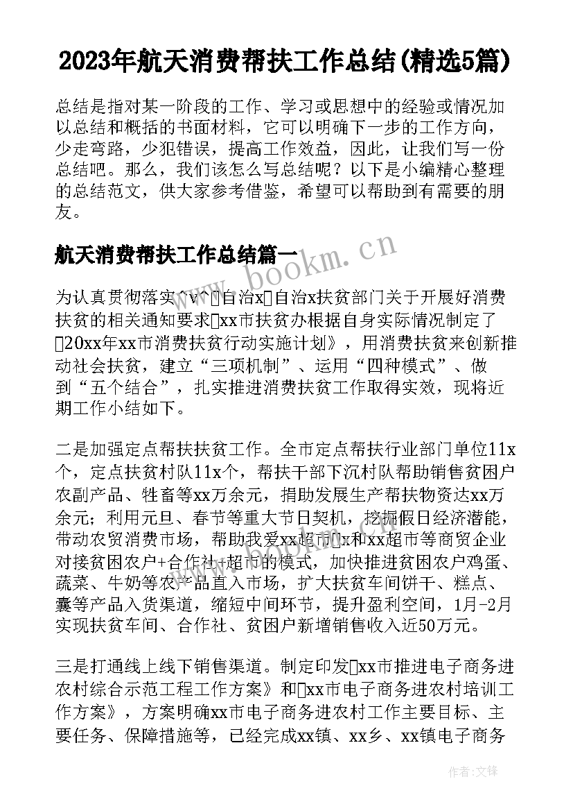 2023年航天消费帮扶工作总结(精选5篇)