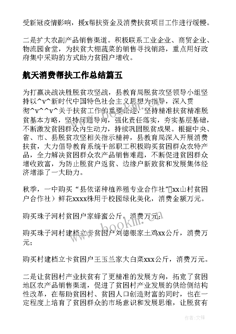 2023年航天消费帮扶工作总结(精选5篇)