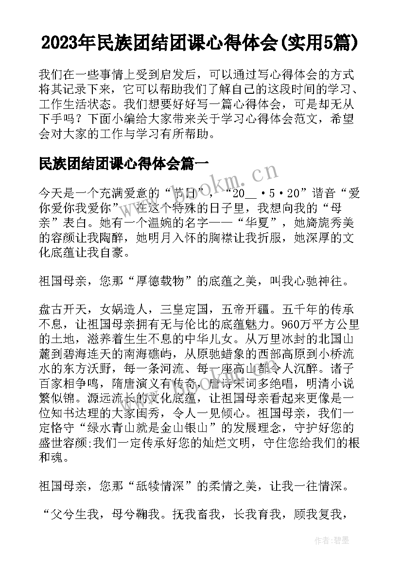 2023年民族团结团课心得体会(实用5篇)