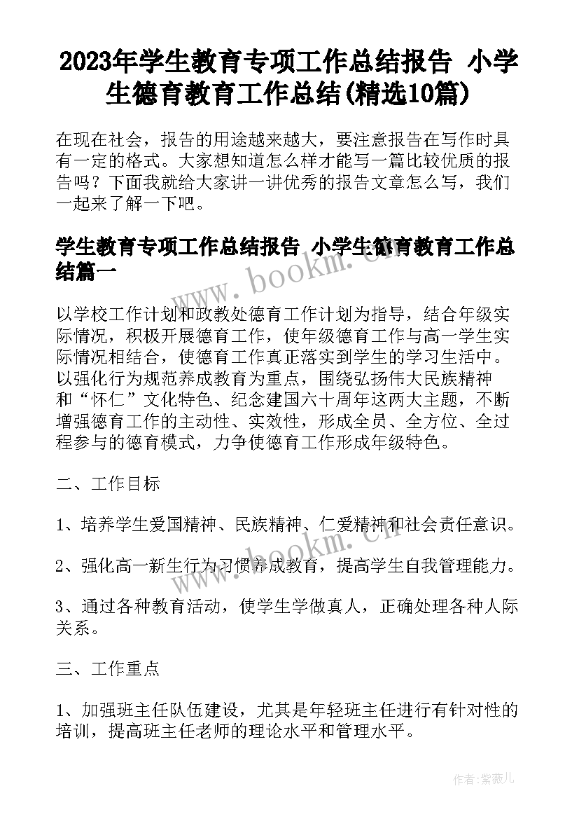 2023年学生教育专项工作总结报告 小学生德育教育工作总结(精选10篇)