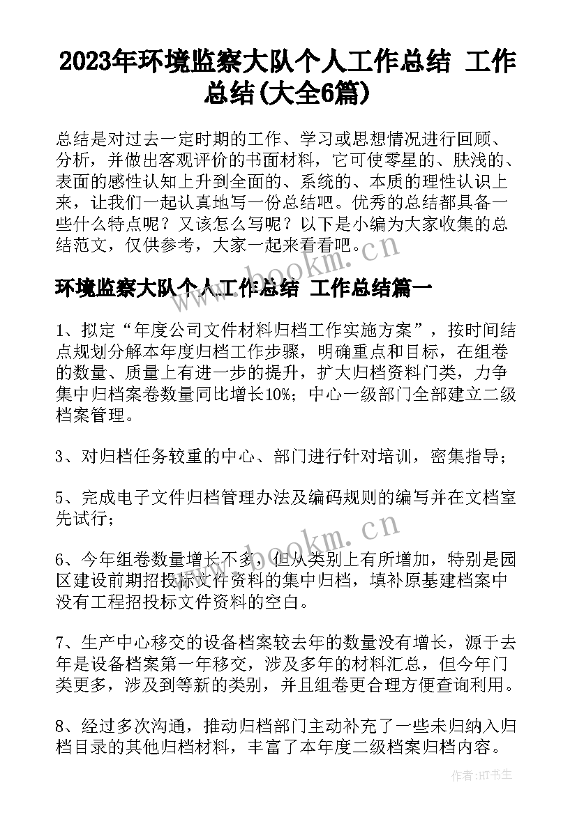 2023年环境监察大队个人工作总结 工作总结(大全6篇)