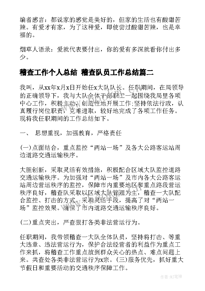 2023年稽查工作个人总结 稽查队员工作总结(实用10篇)