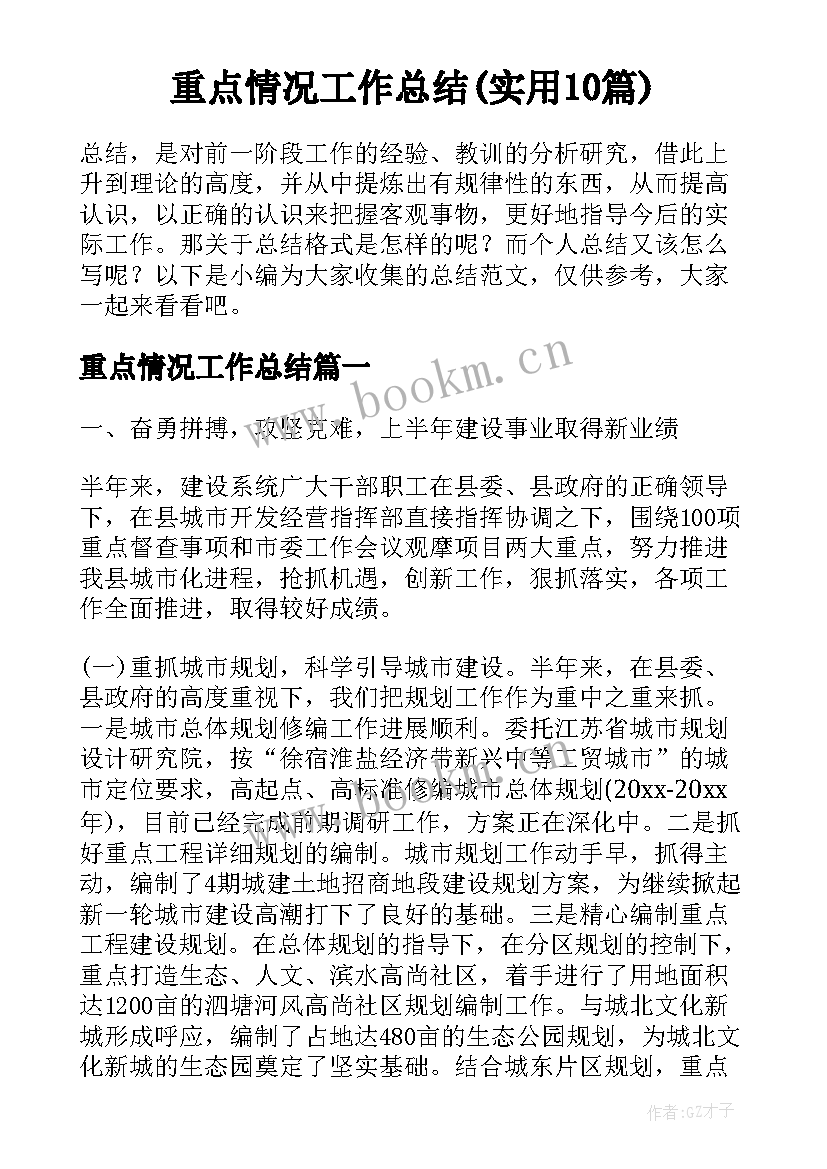 重点情况工作总结(实用10篇)