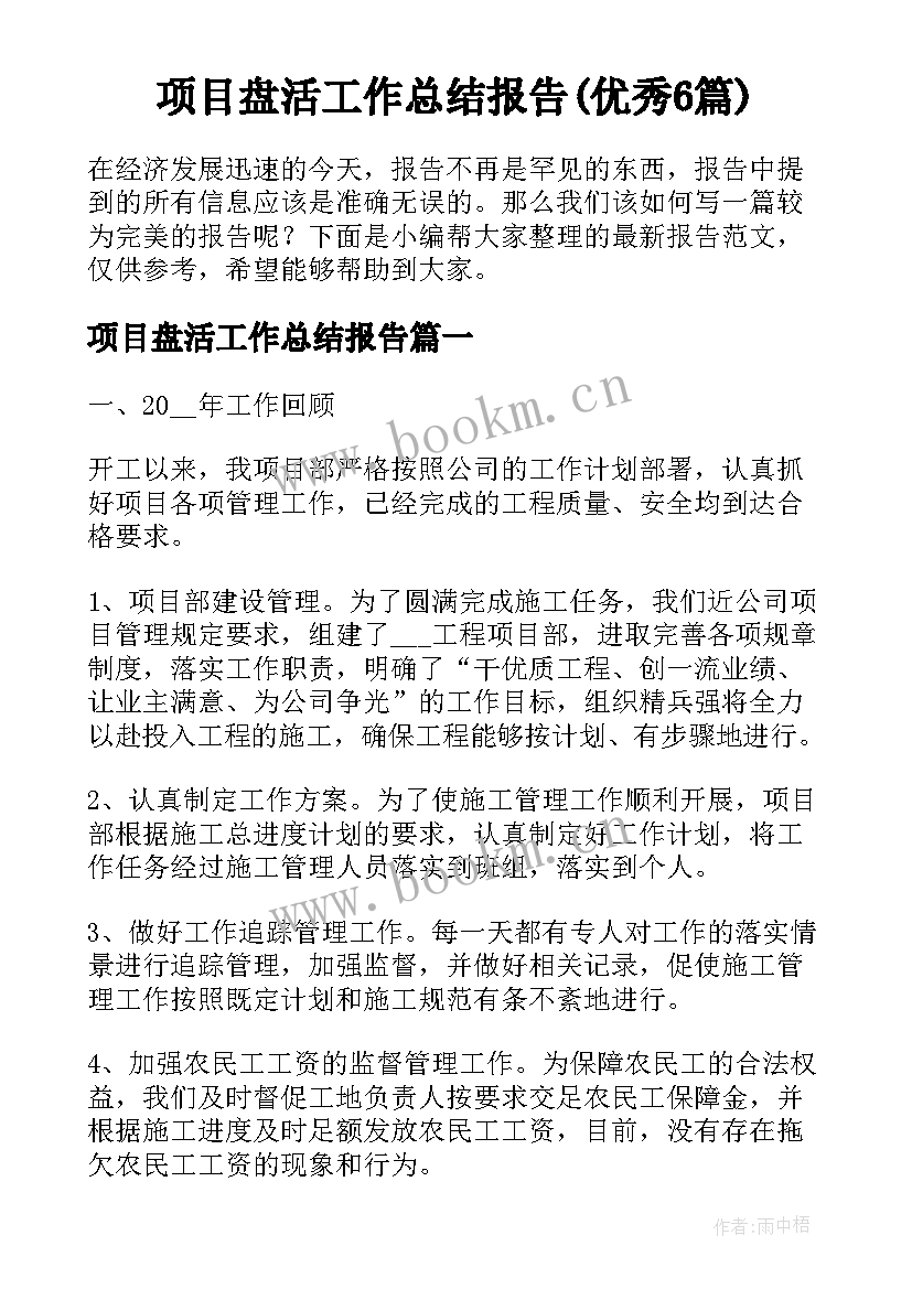 项目盘活工作总结报告(优秀6篇)