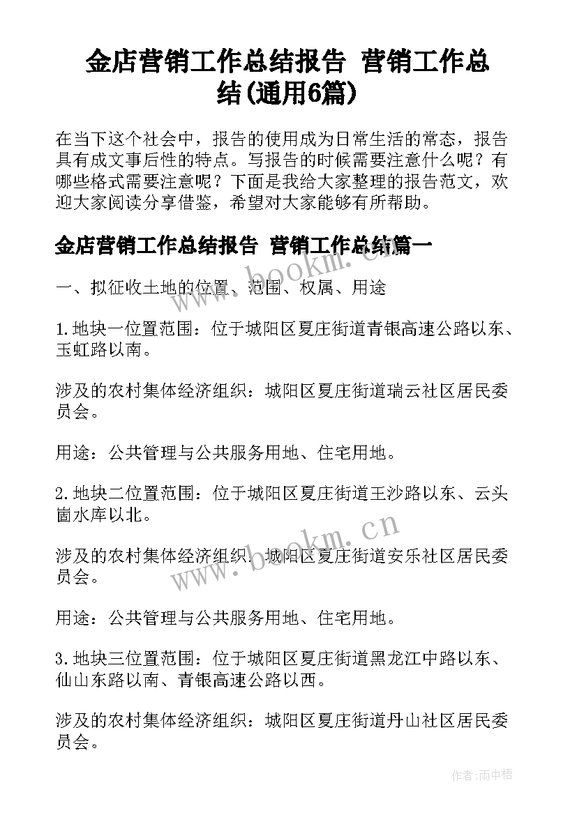 金店营销工作总结报告 营销工作总结(通用6篇)